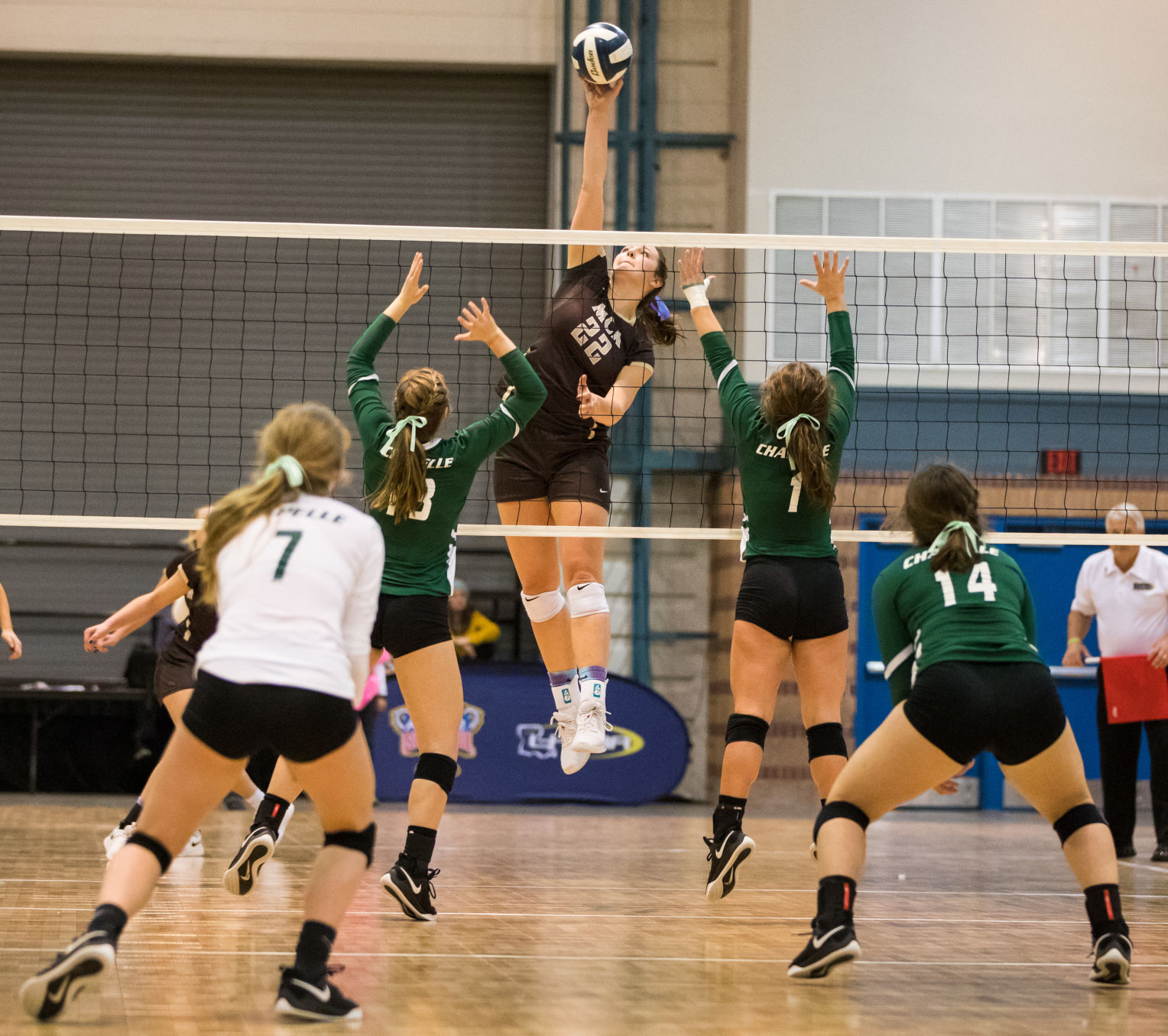no.volleyballdivisionI.111118.06